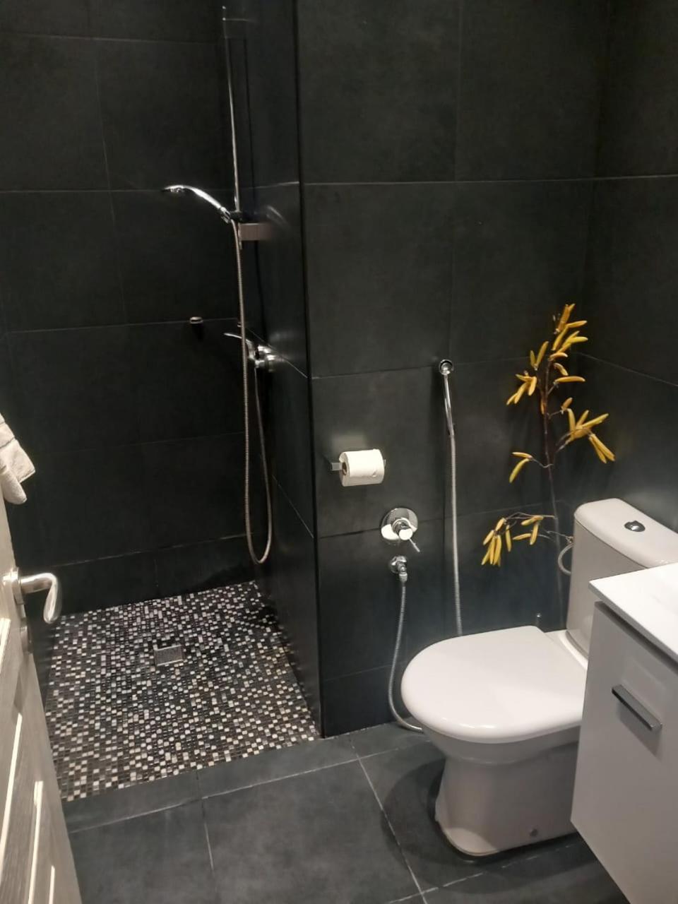 בוסוליי Studio "11"Near Monaco מראה חיצוני תמונה